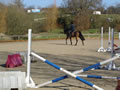 Manege construction and gallops from Curling Contractors covering Essex, Hertfordshire and Surrey