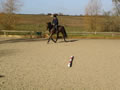 Equestrian, outdoor maneges and polo arenas from Curling Contractors working in Surrey, Berkshire and Middlesex 